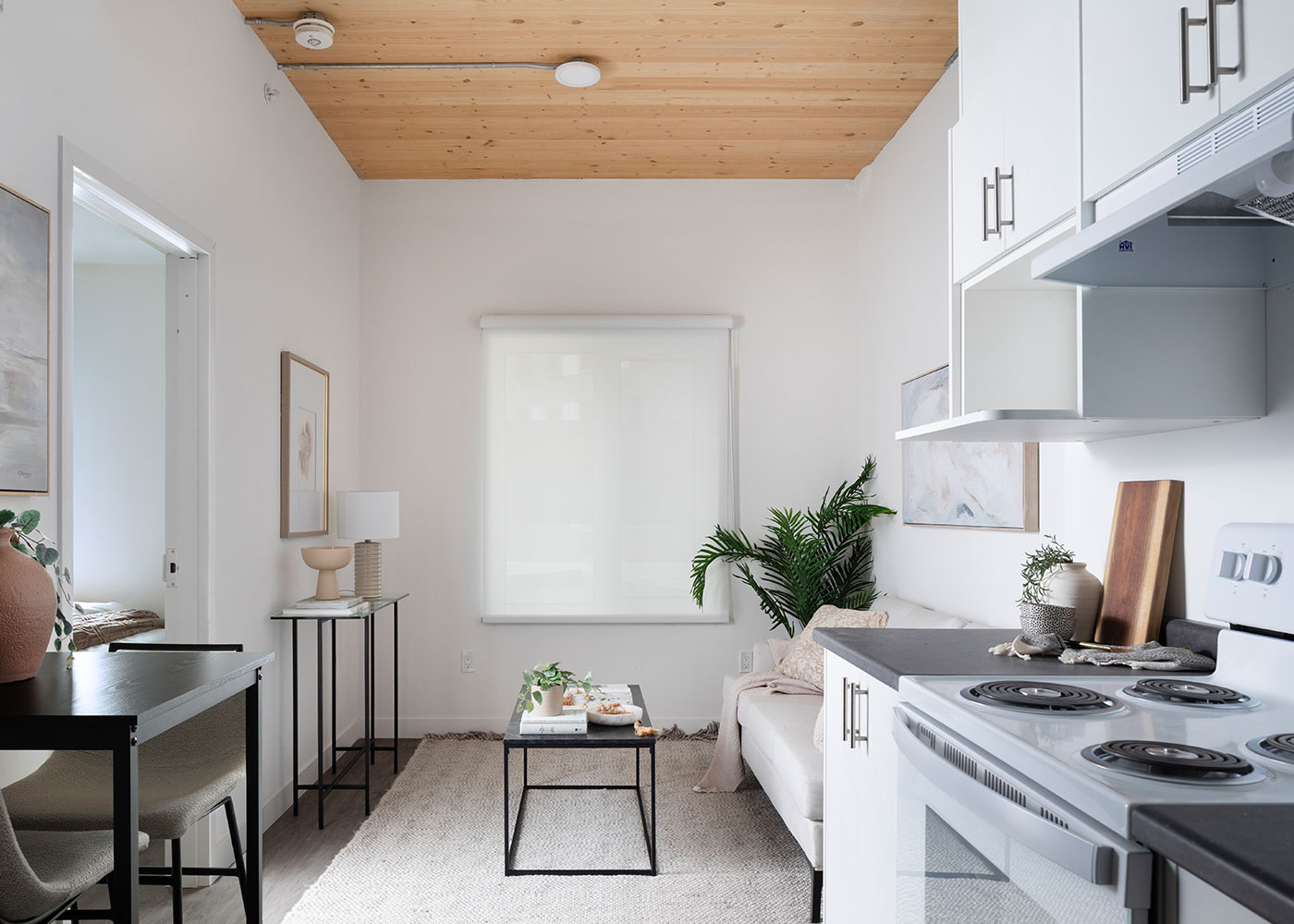 Suite kitchen and living area with an exposed timber ceiling